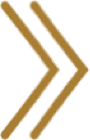 two chevrons that represent the dynamic efficiency of the firm